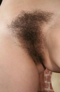 Curly Brown Pubes Close Up
