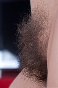 Bushy Curly Pubes Close Up Picture