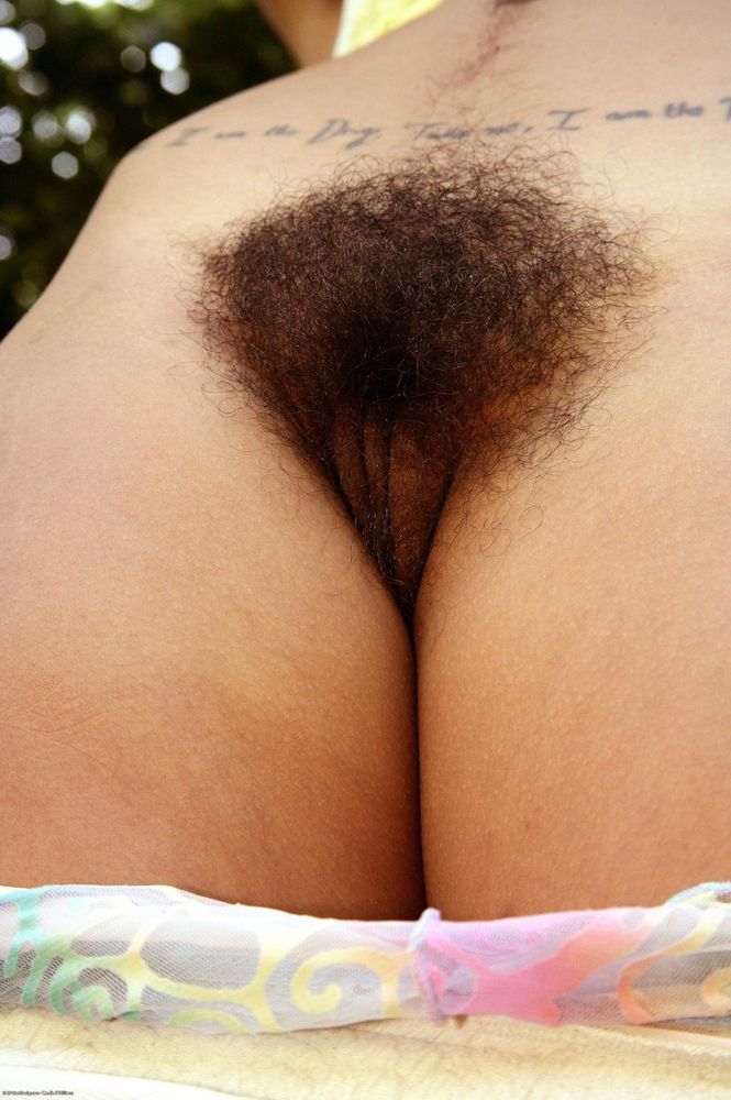 Hairy Latina Pussy Pics