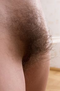 Fluffy Pubic Hairs Up Close
