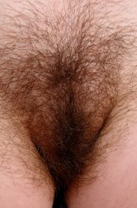 Hairy Pussy Close Up Picture