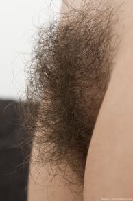 Nice Fluffy Pubes Up Close