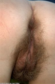 Unshaven Pussy And Hairy Asshole