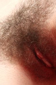 Hairy Up Close Pussy Picture