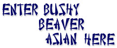Enter Here For Bushy Beaver Asian