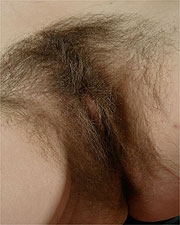 Unshaven Pussy Close Up Picture
