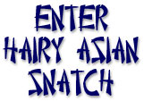 Enter Hairy Asian Snatch