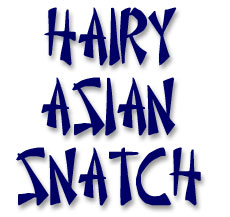 Hairy Asian Snatch