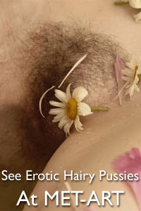 erotic hairy pussy